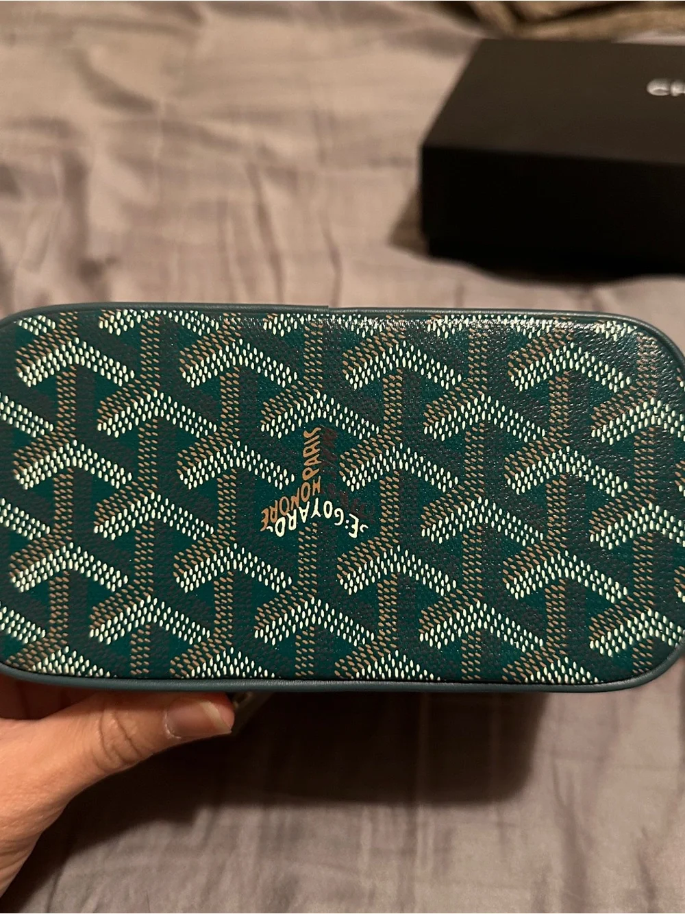 Goyard Mini Green Coated Canvas Vanity Muse Case with Removable Strap
